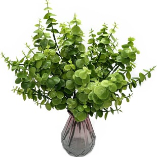 ins���W�LС���·��淴�~�ȼ������X�~֦����Gֲ�ٻ��[�O�b�
