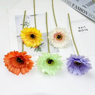 �Wʽ�ͮ����޾ռٻ� diy��֦�����ٻ���Y�û�ˇ�����廨�zӰ�[��