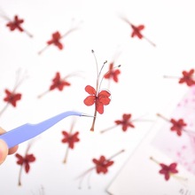 �tɫ���Ѹɻ���������diy�ك��������F�����zѺ�������b����]