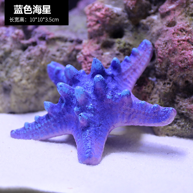 海星1777