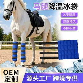 冰垫;冰袋冰包;暖贴、暖宝宝