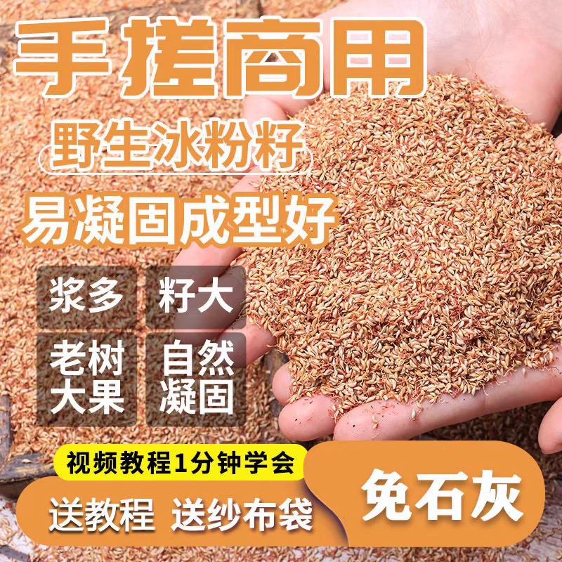 四川野生天然手工凉粉籽爱玉籽木瓜籽木莲籽冰粉籽免石灰薜荔籽批