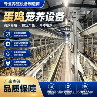 跨境喂食器定制养鸡全自动化智能温控设备组合层叠育雏h型蛋鸡笼