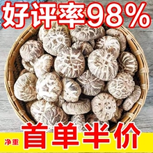 �_��ɼ��oë�ػ���5g���r�������㹽������Ģ�����خa�¸�