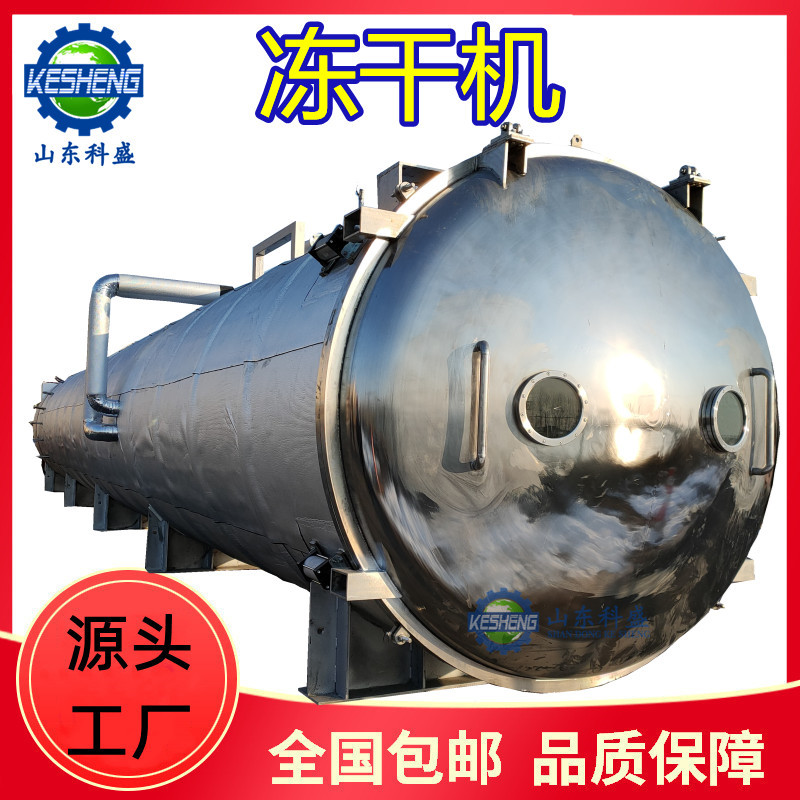 真空冻干机 不锈钢肉类冷冻干燥设备 食用菌真空冷冻干燥机厂家