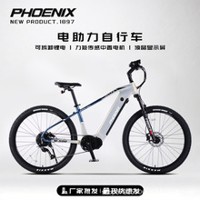 凤凰电助力自行车铝合金可拆卸锂电池休闲新国标电动车出口热销