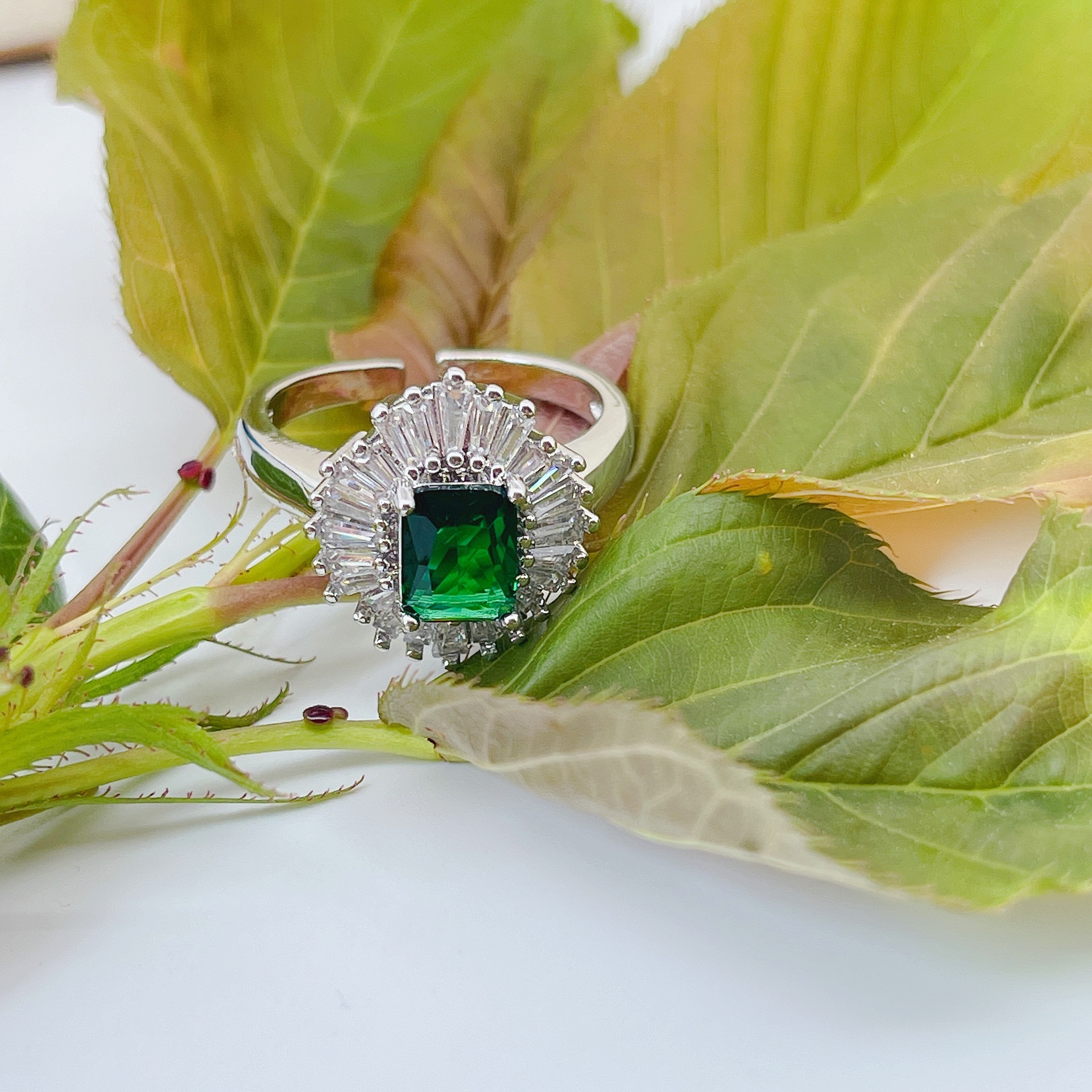 IMG_3794(20220404-105348)