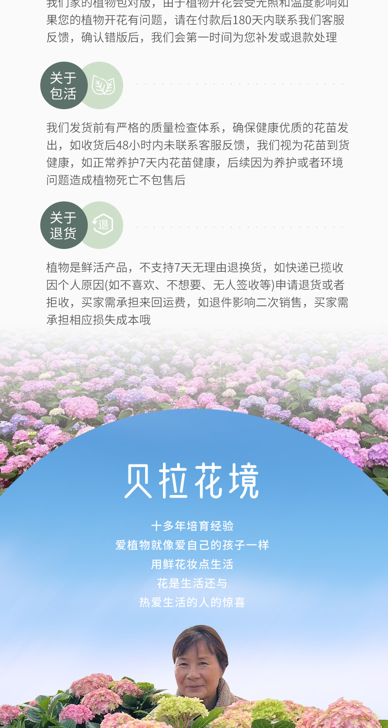 생방송실, 개체별, 개체별, 가격차이 98.9개, 세면대 포함