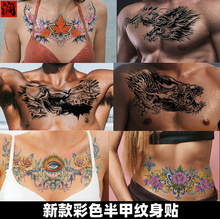 �^����������׼y���N�¿�W���Ը�Ӣ����ĸ��ˮ���N���S�����l