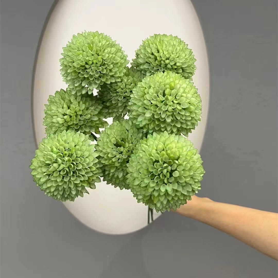 6dfebf56da95d7436c64c8fc21a545