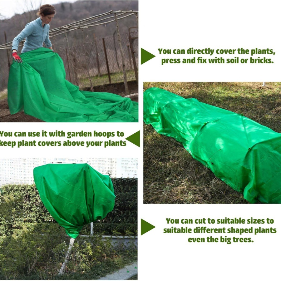 81Ise1v0thL._AC_SL1500_