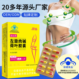 ���Ʊ̵����������|���~�z���{ñ����ʳƷ������p��֬���aƷoem
