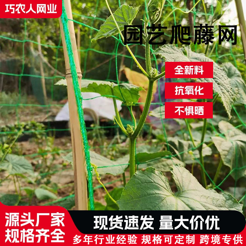 Gardening Climbing Net for Planting Fruits and Vegetables, Green Plant Support Net, Passion Fruit Grape Vegetable Lattice Green Net Gardening Climbing Net for Planting Fruits and Vegetables, Green Plant Support Net, Passion Fruit Grape Vegetable Lattice Green Net