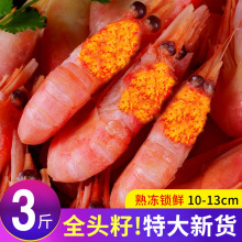 北极甜虾新鲜北极熊头籽北极虾冰虾海鲜水产带籽大虾鲜活速冻刺身