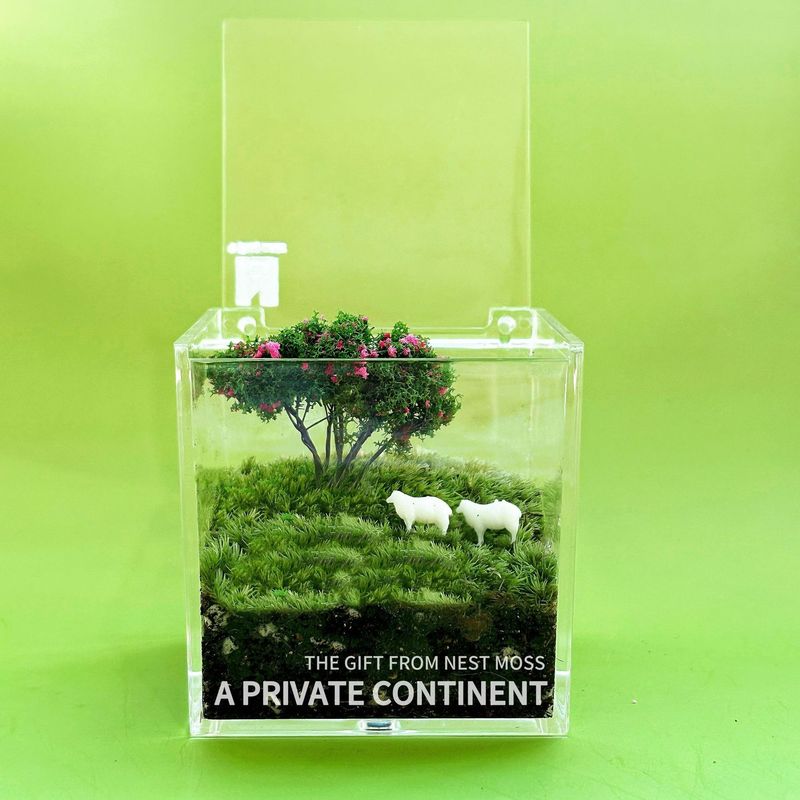 プライベート芝生苔マイクロ風景デスク植物鉢植え屋内クリエイティブグリーン植物怠惰なクリエイティブギフト卒業|undefined
