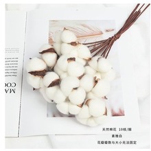 ?Դ^Sinsľ޻^滨diy޻ɻɻl