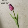 Тёмно-фиолетовый