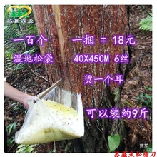 松CM约斤油38马尾松40袋湿地松可装松油66丝厚袋袋香袋松脂X袋