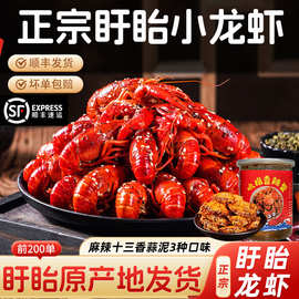 正宗盱眙麻辣小龙虾半成品即食熟食十三香蒜泥盒装商用批发
