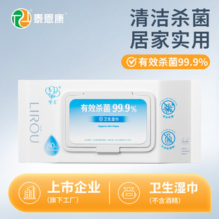 Quaternary Ammonium Salt Sterilization Alcohol-Free Household Wet Wipes 80 Pumps Affordable Cleaning and Hygiene Wet Wipes Drop Shipping