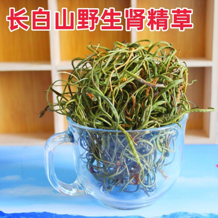 Shen Jing Cao Wild Tea Leaves 150g 3 Cans Dried Pyrrosia Leaf Herbal Infusion from Changbai Mountain overview