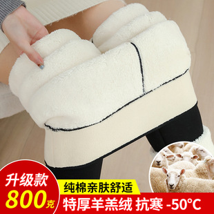 Cashmere cotton pants women's winter wear fleece-lined thick leggings high waist northeast extra thick cotton plus size warm pants