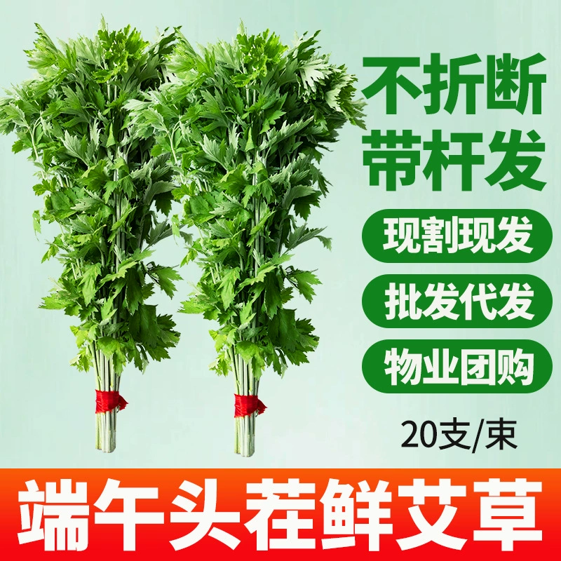 Свежий целый растение полыни для фестиваля лодок-драконов, нарезанный букет полыни для подвешивания на дверях и окнах, целый букет листьев полыни своими руками, оптовая продажа полыни.
