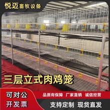 蛋鸡笼自动鸡用立式鸽子笼鹌鹑养殖育雏养殖场喂料肉鸡笼