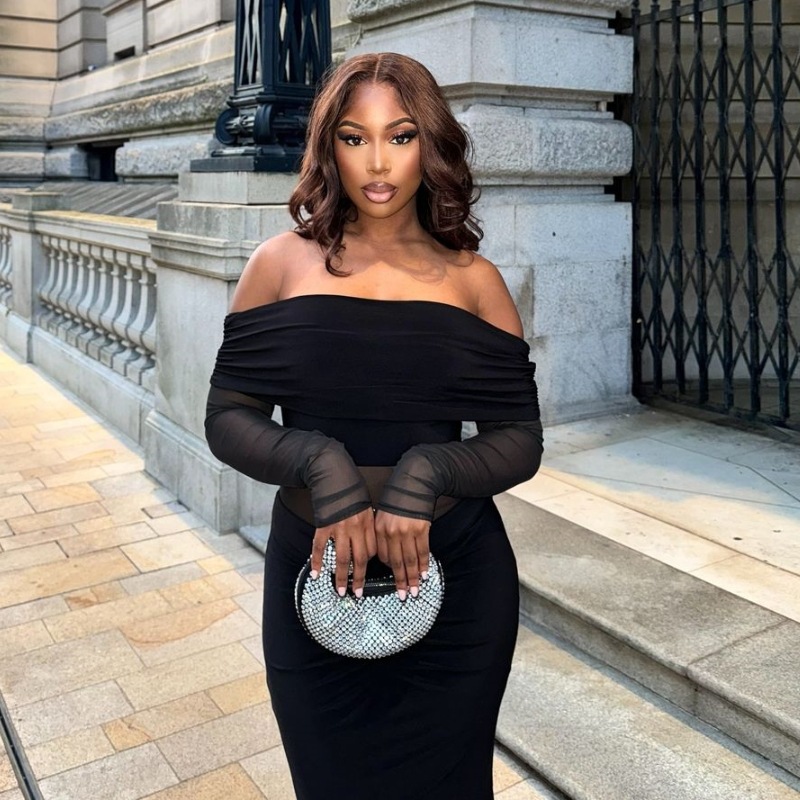 New Arrival Fashion Elegant Off Shoulder Long Sleeve Slim Fit Sheer Mesh Dress Women's Casual Party Evening Cocktail Dress_ecoleips.com