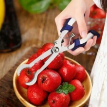 ɽ� ȥ���� ���Ǻ��J���� ɽ�ȥ���Q ȥ�˵� ɽ髼�S��