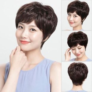 Wig short hair full head cover realistic whole wig middle-aged and elderly short curly hair fluffy high temperature silk factory direct sales