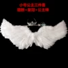 Small white swallow-shaped wings princess set
