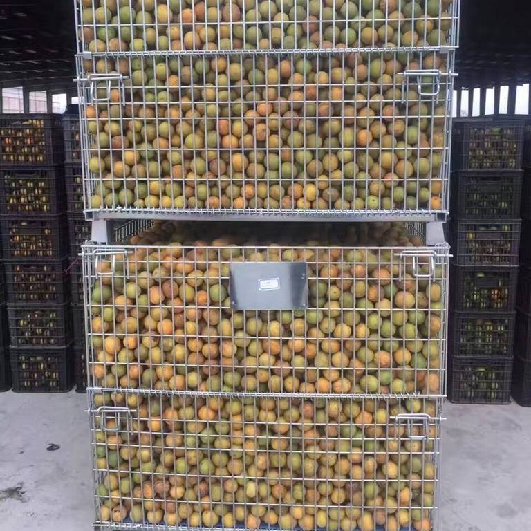 供应吉林仓库笼；吉林仓储笼，可折叠可回收，装鹅卵石、装榴莲等