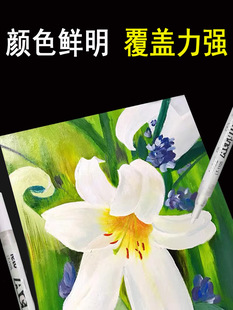 ��ɫ�߹�P���g�L����֧�T�f�P��ˮ�ٸ�ӛ̖�PDIY��Ь��ϩ�R�˹P