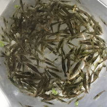 ���r���r���r�r����^�p�������坍�r���w�r�����r���~��ϳ�����