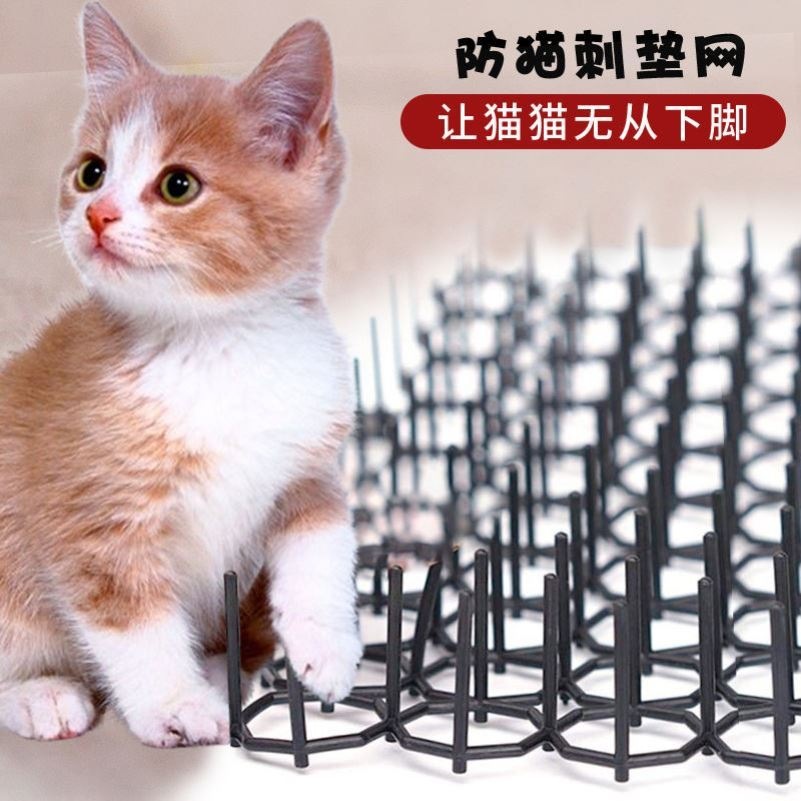 微信图片_20211005141250.jpg