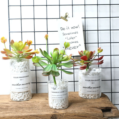Cross-border blue lotus succulent plant simulation flower wedding succulent family background flower wall photography green plant MW17682