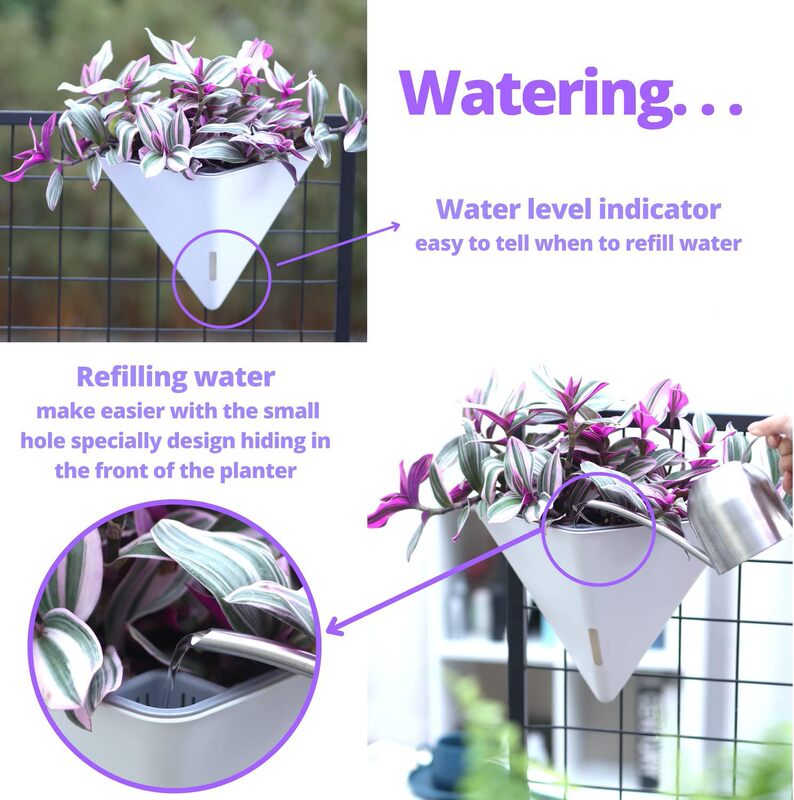 Cross-Border Specially Designed for Oulinze Plastic Wall-Mounted Flower Pots, Household Self-Watering, Self-Absorbing Pots, Gardening Simple Lazy Flower Pots