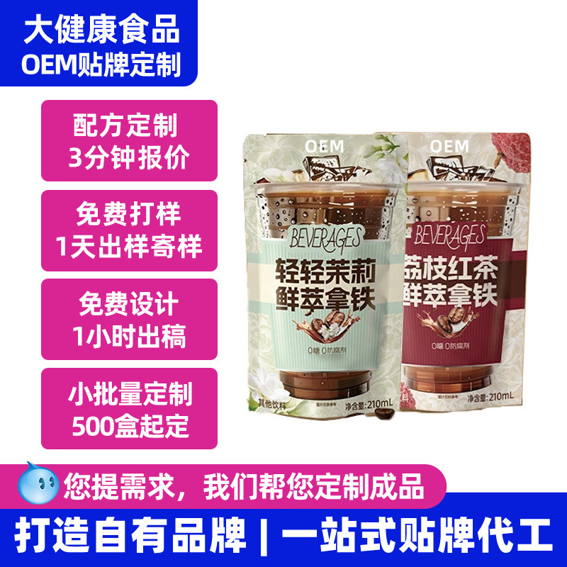 Ready-To-Drink Ice Bag Coffee Oem Private Label Processing Light Jasmine Cold Brew Latte Pocket Instant Coffee Liquid Customization