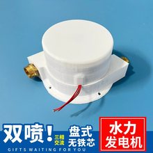 微型冲击式水力发电机 双喷头大功率 盘式无铁芯发电机 永磁