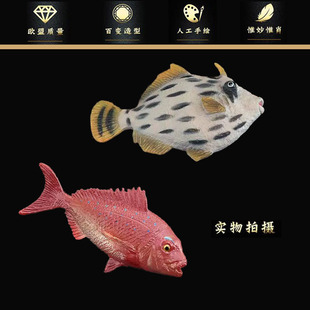 �羳���ķ��溣��������ģ���R���~ɳ�Q�~�t�I�~��ͯ�J֪�YƷ�[