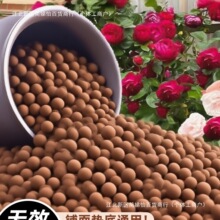 �����|���B�����ò�ɫˮ�������͸�⌣�ö��⻨������������~��