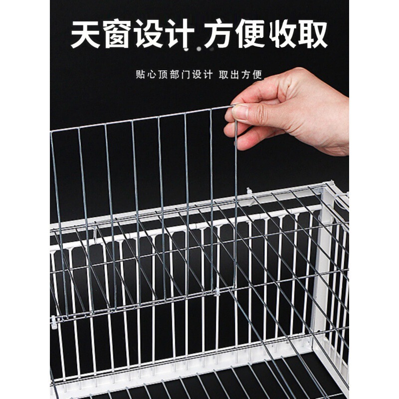 只进不出鸟笼全自动天落笼子撞门户外抓收鸽子捕加密可连续用|undefined