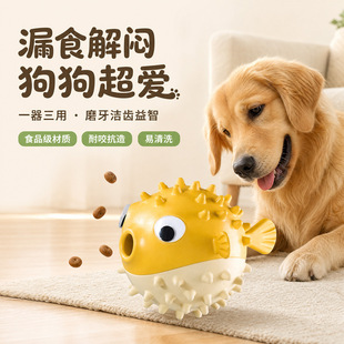 �¿���ҧ����©ʳ��������͹�����ʳ©ʳ�����ǽ␞ĥ�����X����