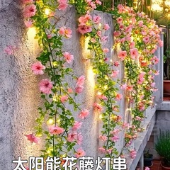 2025新款太阳能灯串户外庭院花藤阳台栏杆围栏网红小院装饰灯