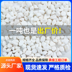 White Pebbles Manufacturer Gardening Potted Courtyard Paving Small Stones Gravel Garden Dry Landscape Landscaping White Pebbles