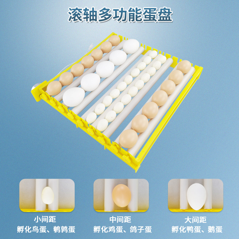 Incubadora pequeña placa de huevo hogar multifunción placa de huevo automático pollo pato ganso pájaro huevo placa rodillo huevo placa