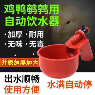Chicken and Duck Automatic Feeder and Waterer for Poultry Farming, Quail Water Bucket, New Pigeon Drinking Bowl