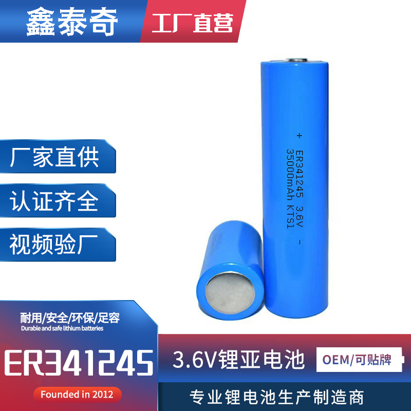 ER341245锂亚电池3.6V流量计物联网煤矿定位器 DD型探头 电池组