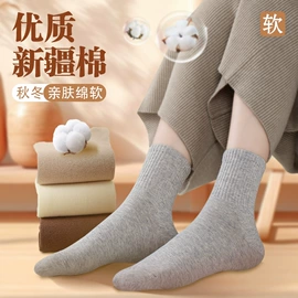 运动休闲棉袜;船袜、隐形袜;袜套